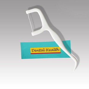 500D Nylon Dental Floss Sticks